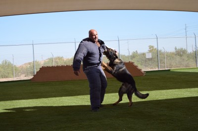 military school K9,Decoy class