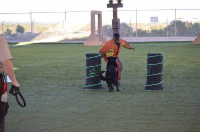 k9 class,k9school,police